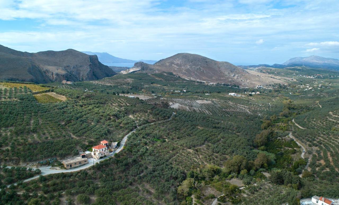 Olive Villas Kría Vríszi Kültér fotó